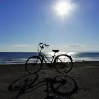 Shonan Bicycle