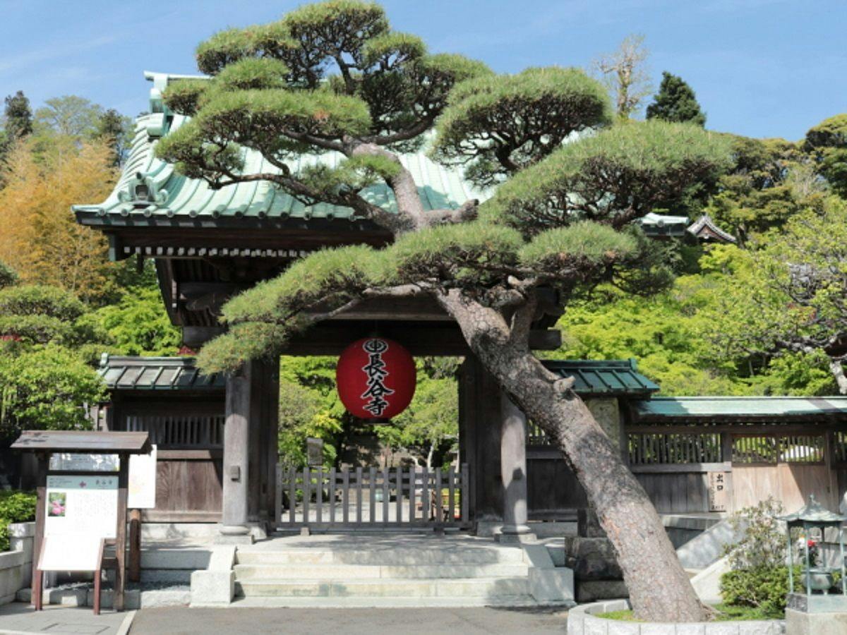 Diamond Kamakura Villa Society
