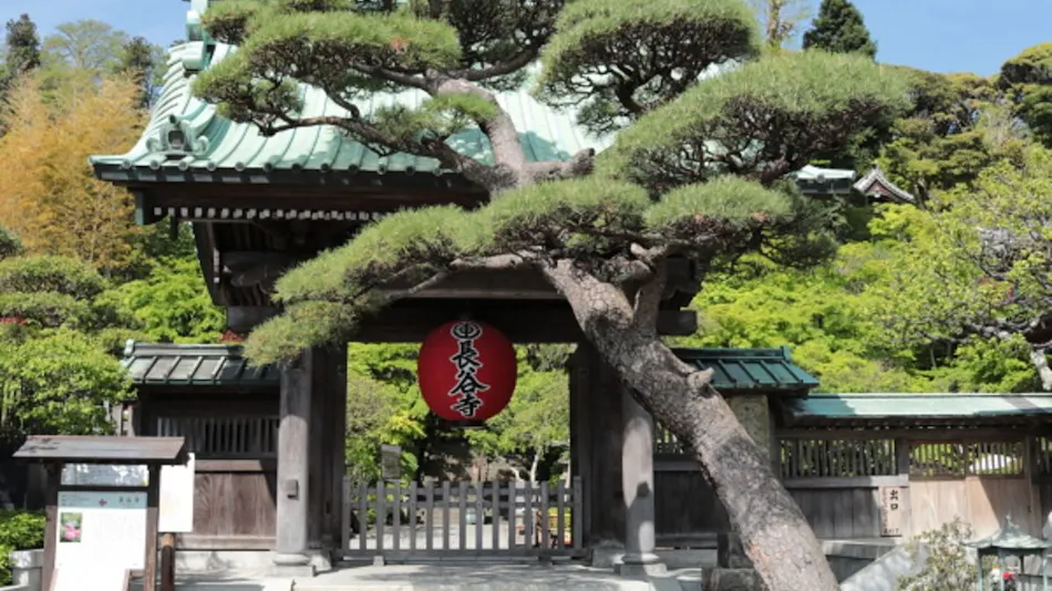 Diamond Kamakura Villa Society