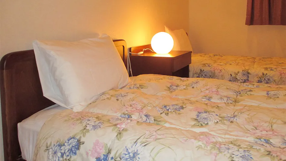 Gemstay Inn Hakone Ashinoko