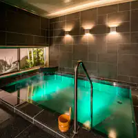 น้ำพุร้อนธรรมชาติ "浜松出世の湯"