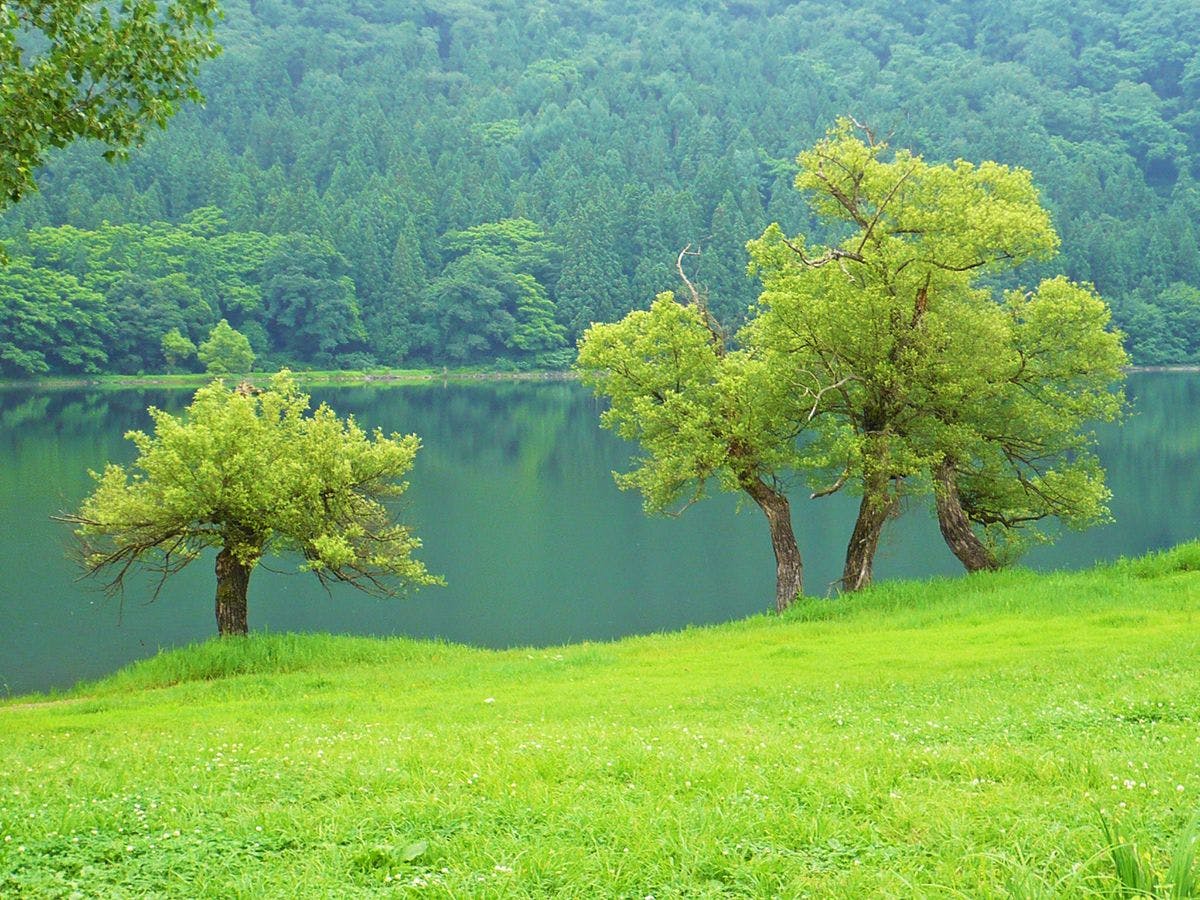 ทะเลสาบโฮคุริว