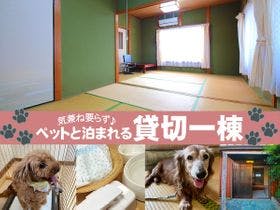 年中天然クエが食べられる！民宿松林