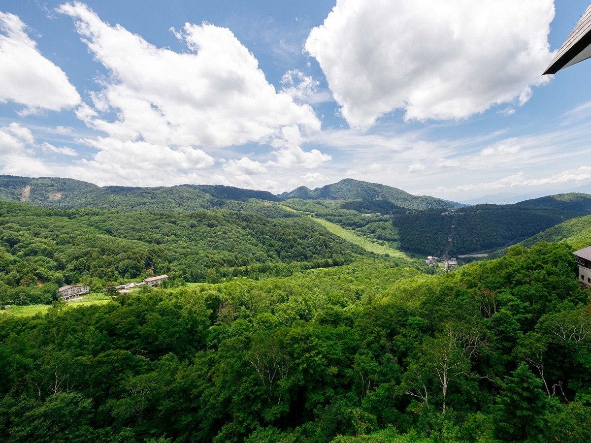 다이닝에서 펼쳐지는 멋진 전망을 즐겨보세요.