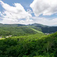 다이닝에서 펼쳐지는 멋진 전망을 즐겨보세요.