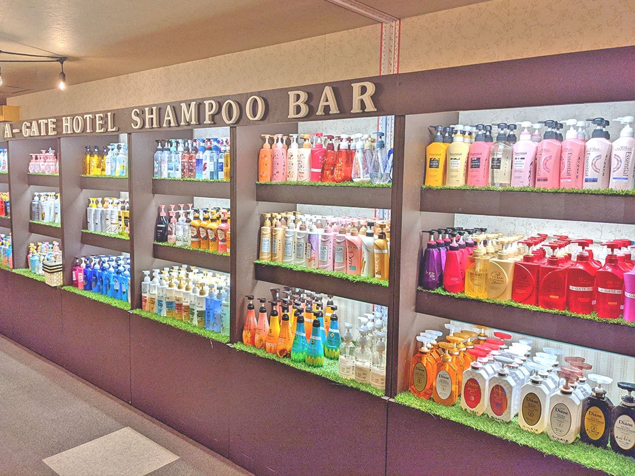 【บาร์แชมพู】ขนาดใหญ่ที่สุดทั่วประเทศ♪