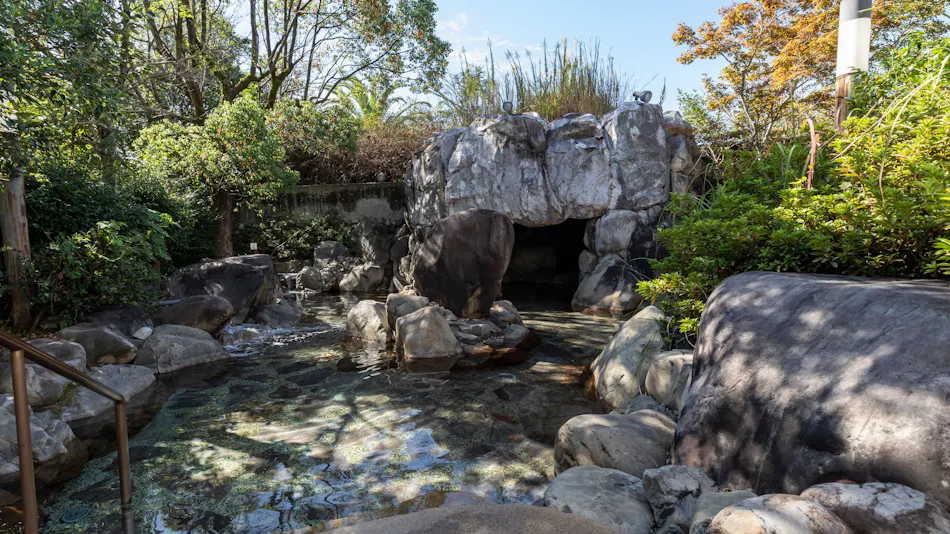 Natural Hot Spring Harunono-yu