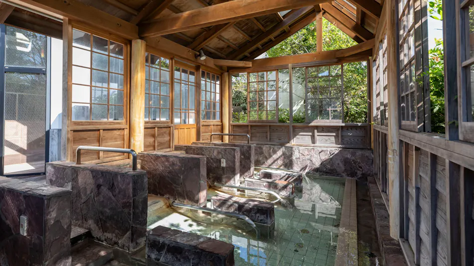 Natural Hot Spring Harunono-yu