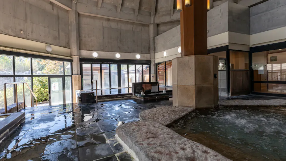 Natural Hot Spring Harunono-yu