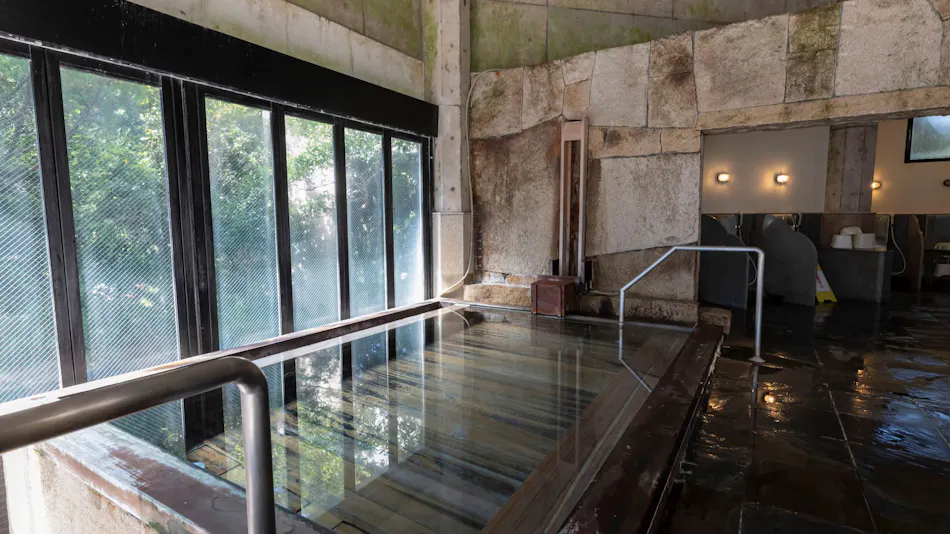 Natural Hot Spring Harunono-yu