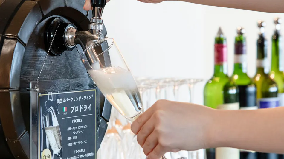 The Breeze of Bali&Resort SAYA