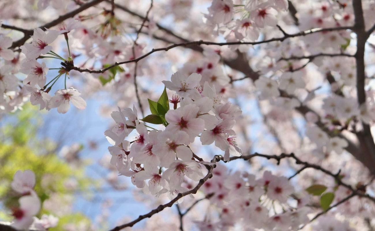 Kamenoi Hotel Kii-Tanabe