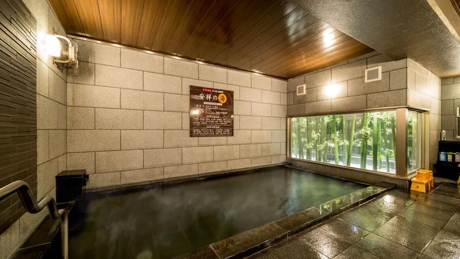 Natural Hot Spring Ansho no Yu Super Hotel Anjo Ekimae