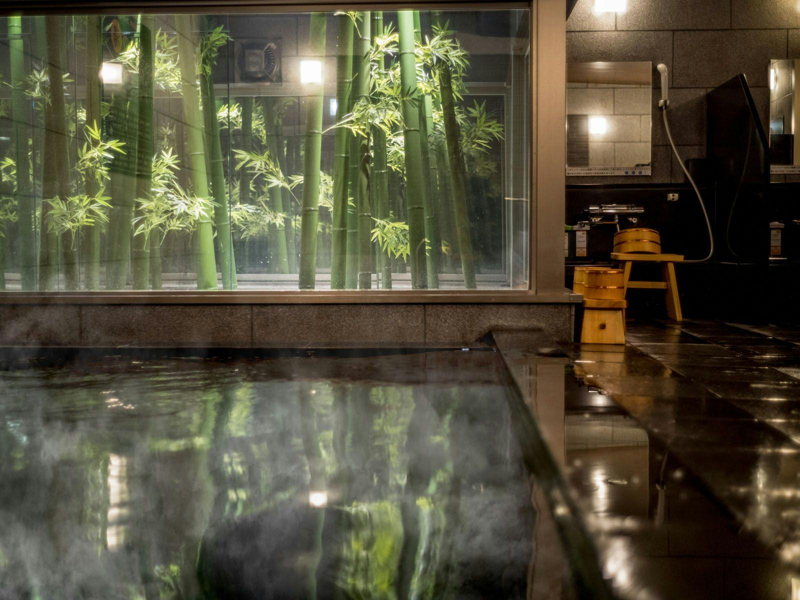 Natural Hot Spring Ansho no Yu Super Hotel Anjo Ekimae