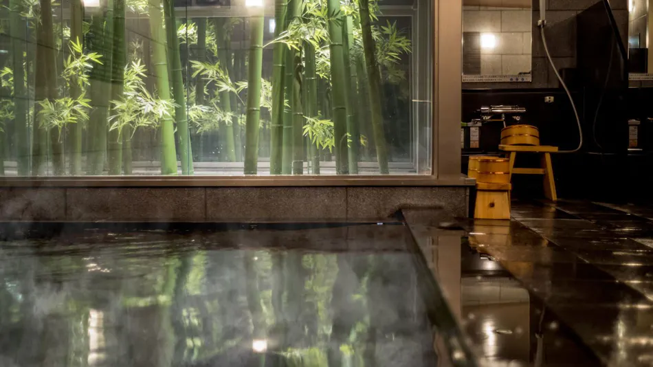 Natural Hot Spring Ansho no Yu Super Hotel Anjo Ekimae