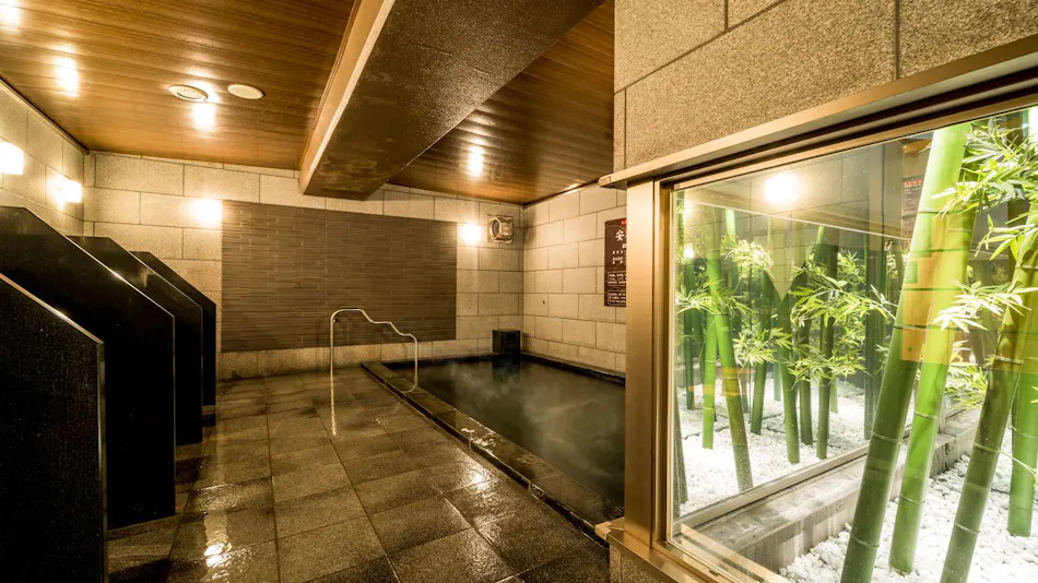 Natural Hot Spring Ansho no Yu Super Hotel Anjo Ekimae