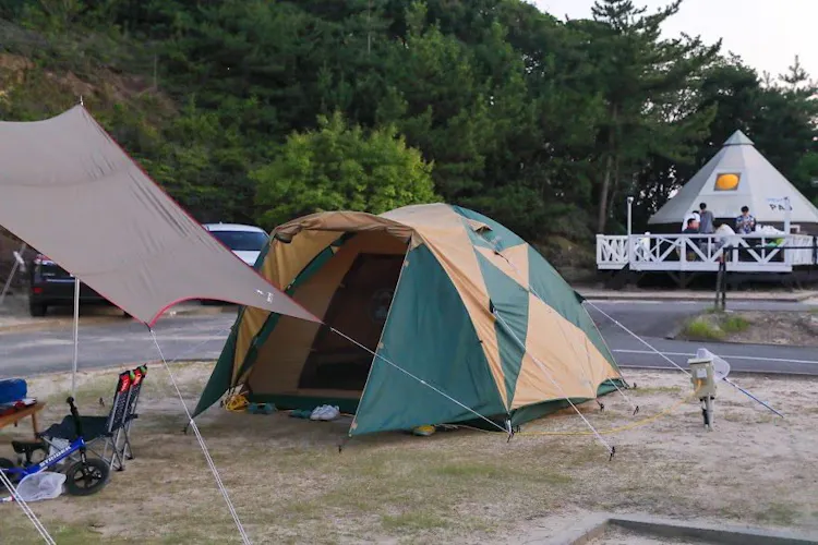 グランパス イン 白浜 宿泊予約なら Yahoo トラベル グランパス イン 白浜 宿泊予約なら Yahoo トラベル