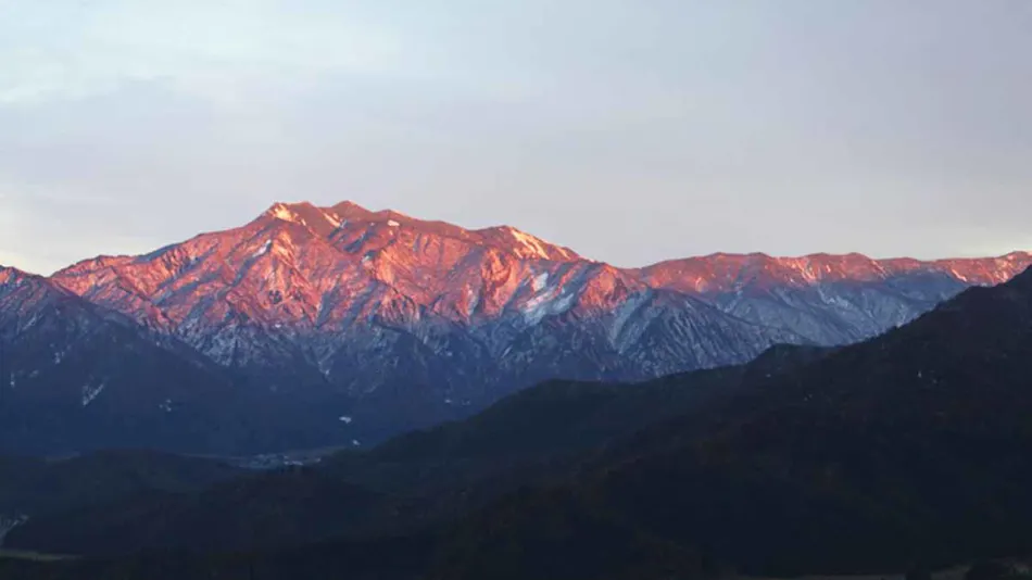 <Pet-Friendly Accommodation> Hillside Inn Center Club