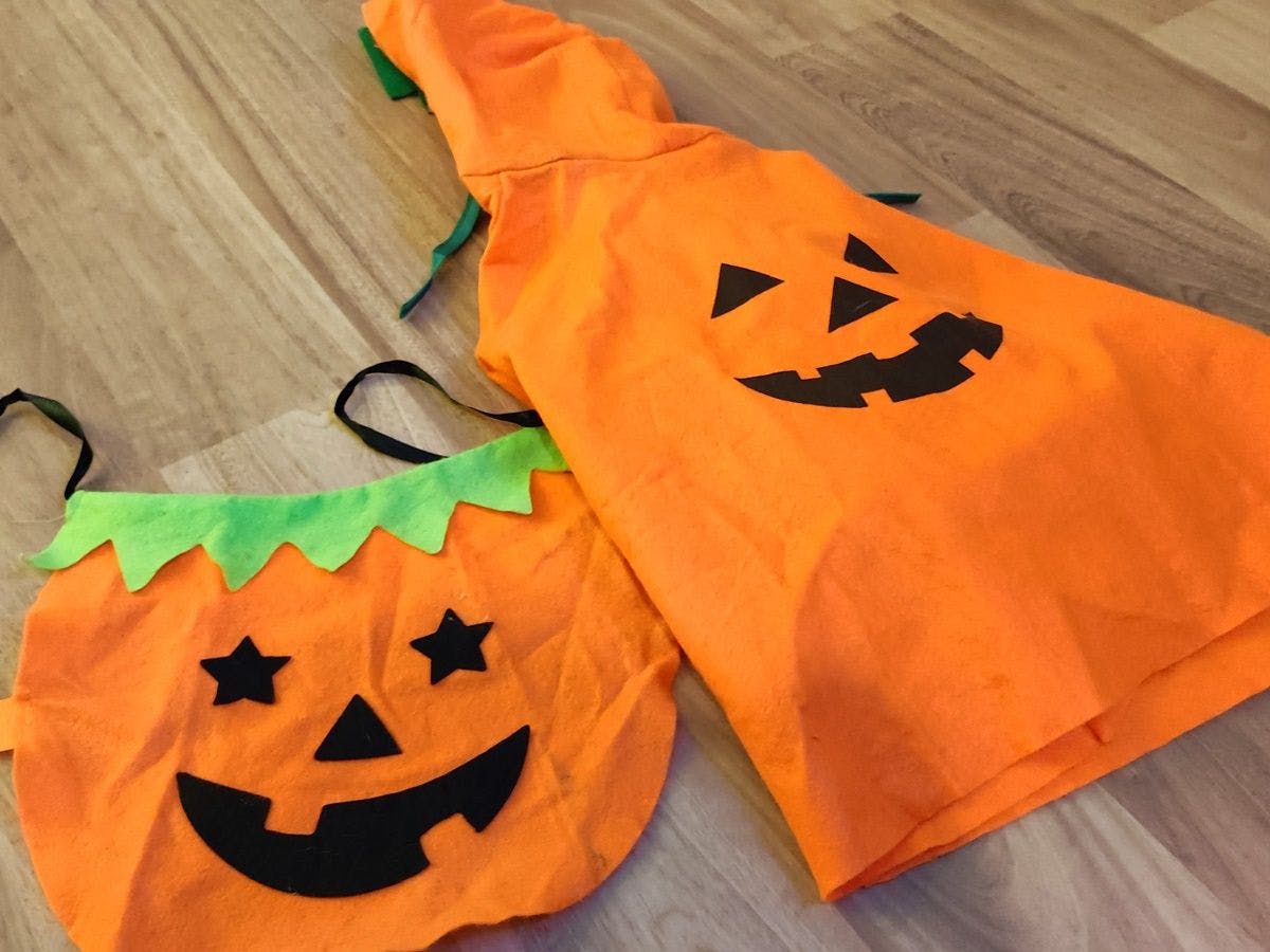 สำหรับสุนัข