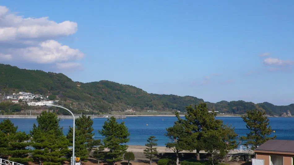 Pulse Inn Katsuura