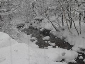 シャレー カスケード