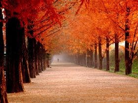 レイアホテル大津石山　(旧びわこ石山ホテル)