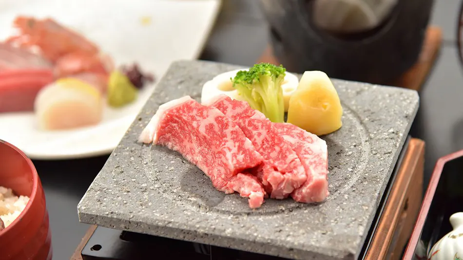 Hotel Sakushu Musashi