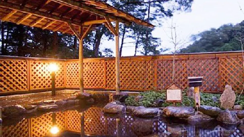 Hotel Sakushu Musashi