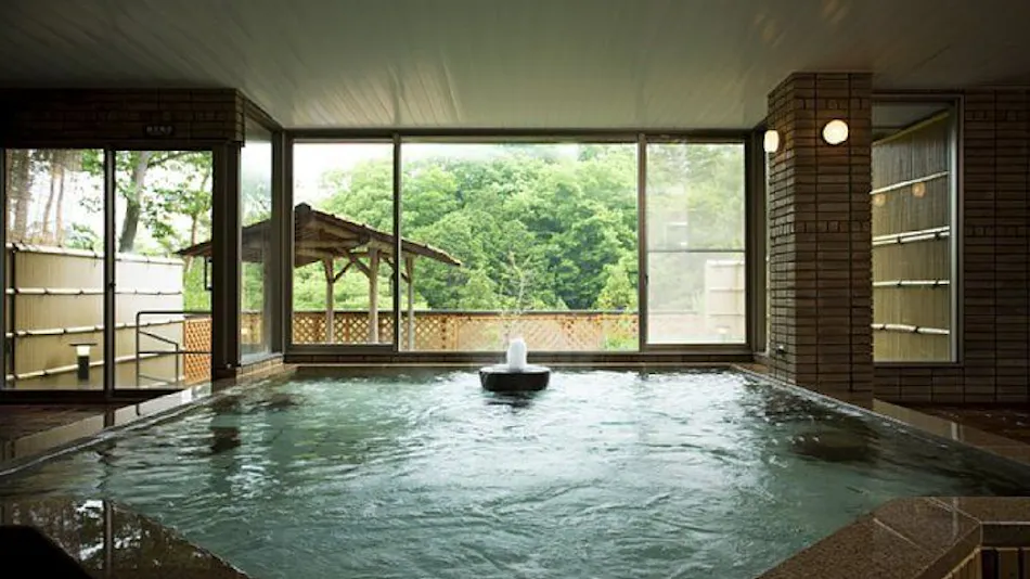 Hotel Sakushu Musashi