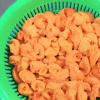 리시리 다시마를 먹고 자란 절품 리시리산 성게.