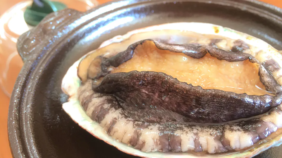 Tanaka Hinageshi Inn
