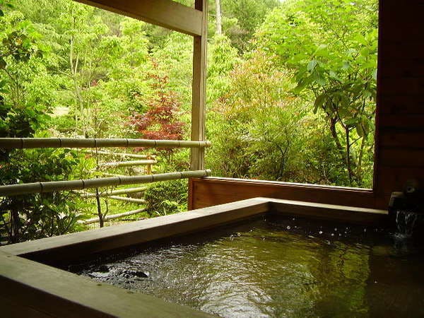 Iwasuso - Mountain, Star, and River Onsen Inn