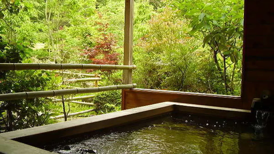 Iwasuso - Mountain, Star, and River Onsen Inn