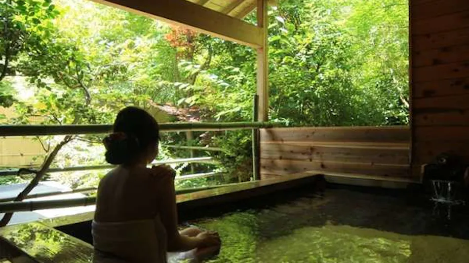 Iwasuso - Mountain, Star, and River Onsen Inn
