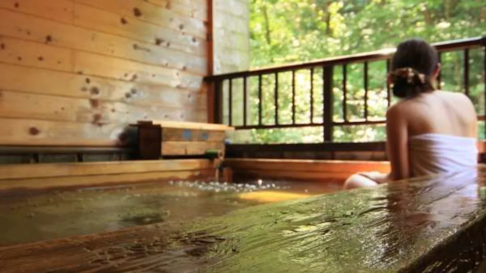 Iwasuso - Mountain, Star, and River Onsen Inn