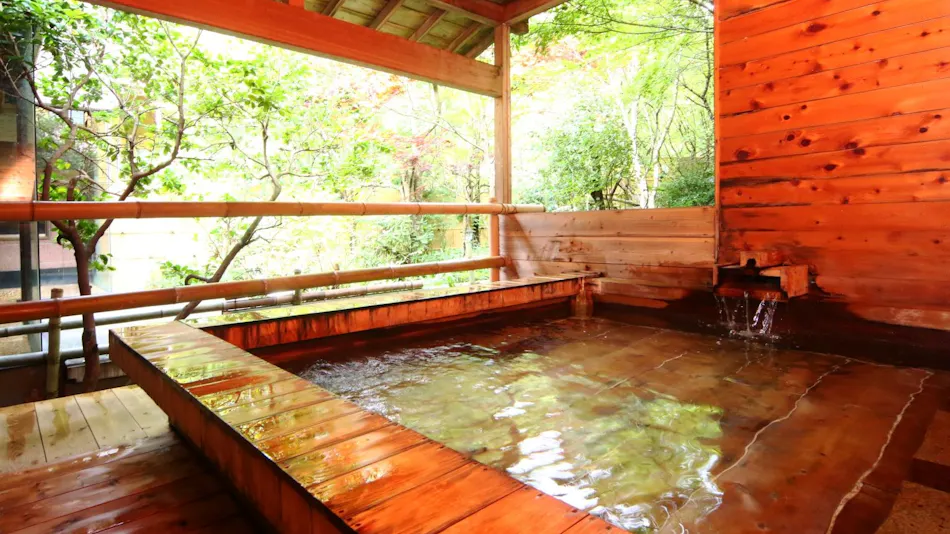 Iwasuso - Mountain, Star, and River Onsen Inn
