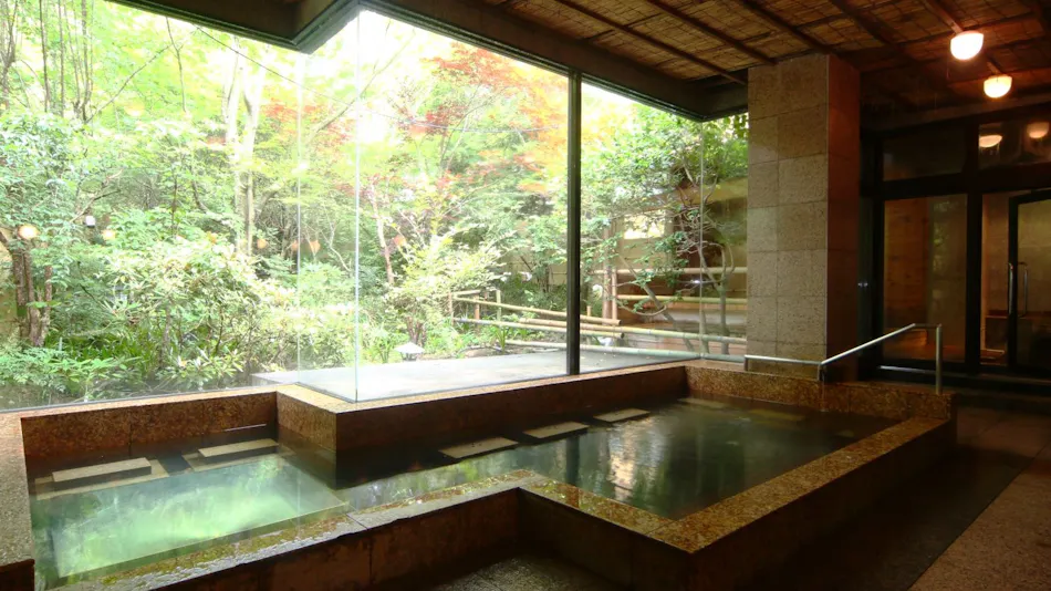 Iwasuso - Mountain, Star, and River Onsen Inn