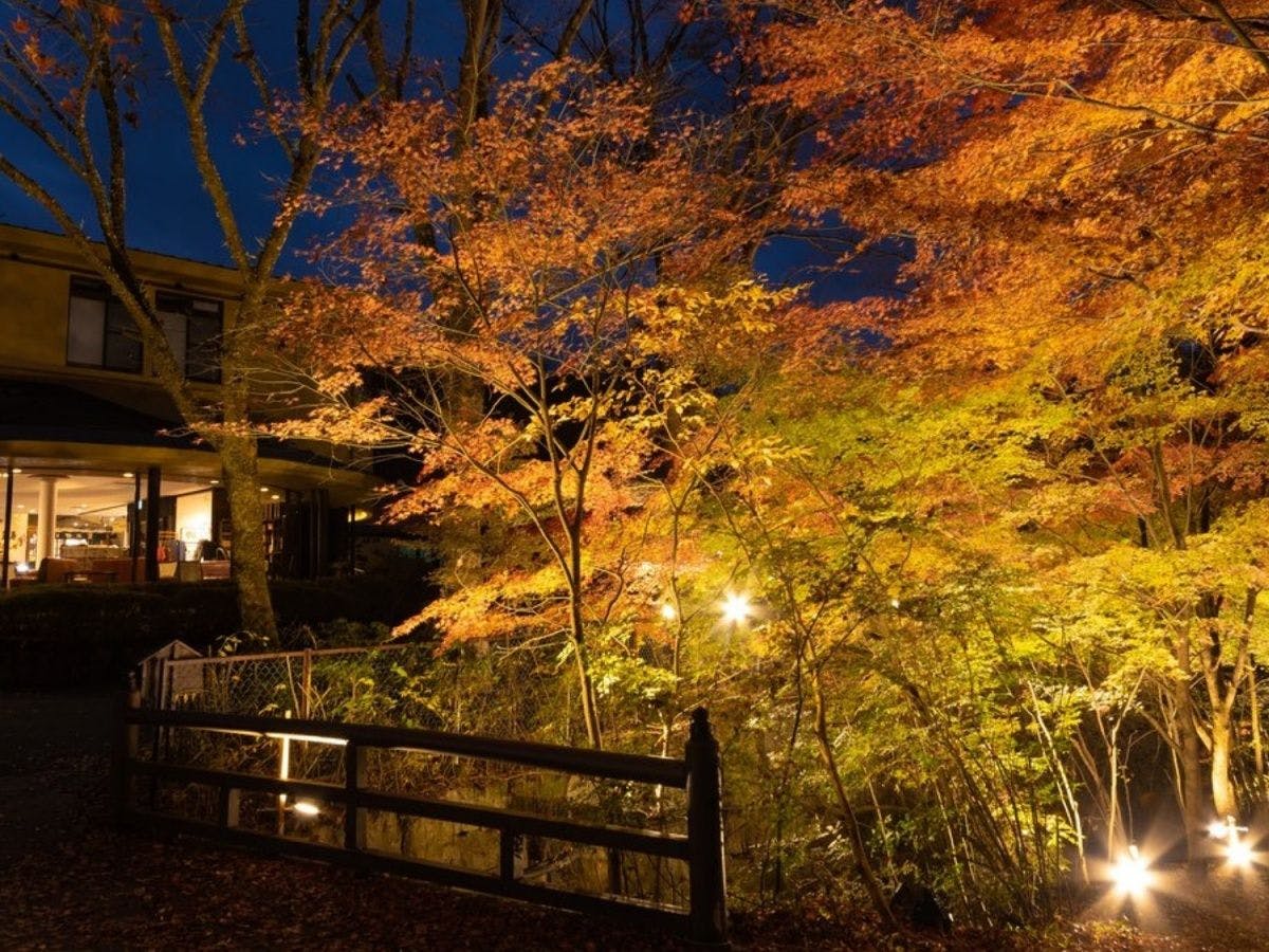 Iwasuso - Mountain, Star, and River Onsen Inn