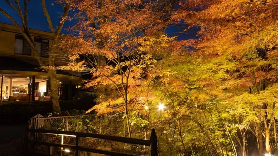 Iwasuso - Mountain, Star, and River Onsen Inn