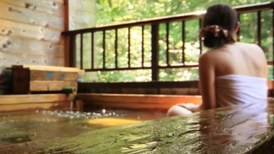 Iwasuso - Mountain, Star, and River Onsen Inn