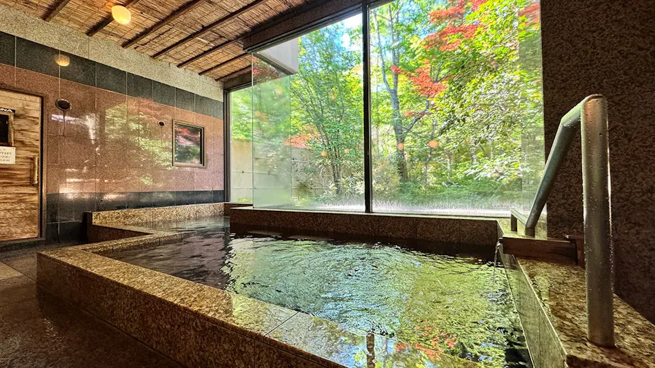 Iwasuso - Mountain, Star, and River Onsen Inn
