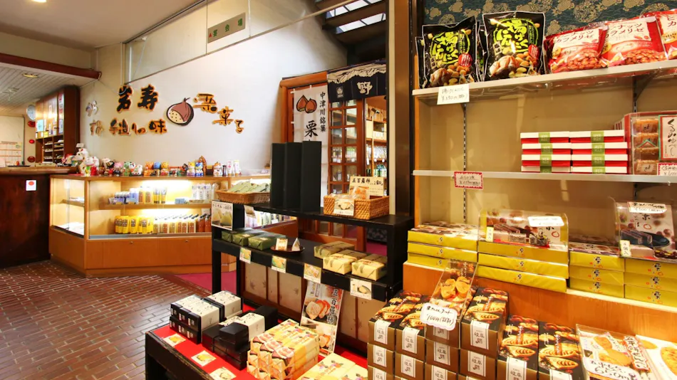 Iwasuso - Mountain, Star, and River Onsen Inn