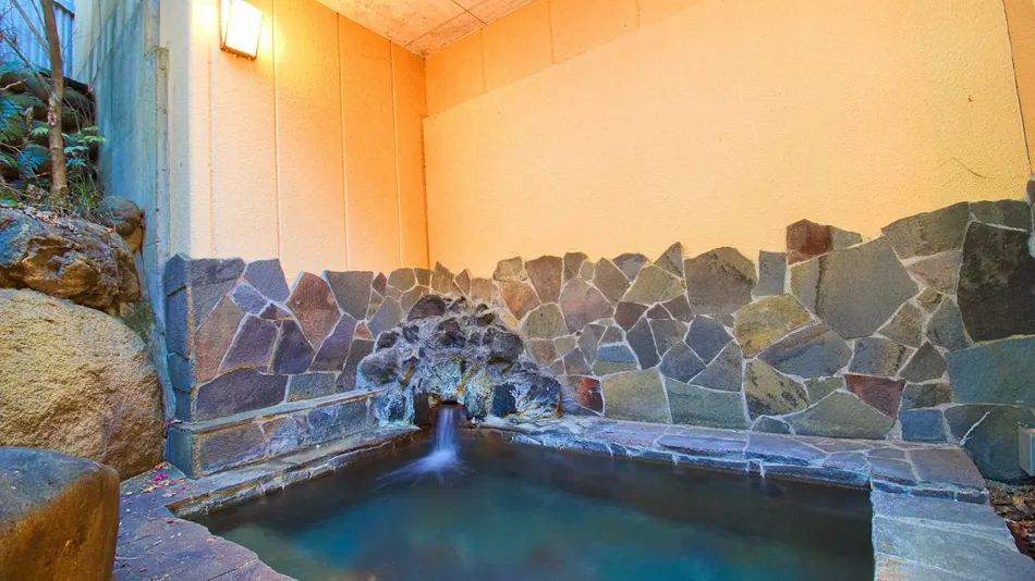Hotel Kinu