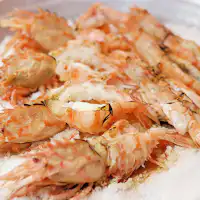 กุ้งตั๊กแตนตำข้าว