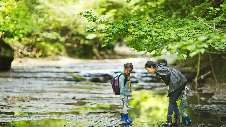 Ryokan & Glamping Resort: The Inn Where the Sound of Deer Echoes - Hanazansui