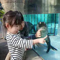 สวนกล้วยและจระเข้อาตากาวะ