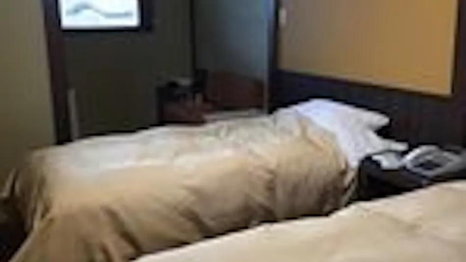 Tokiwa Ryokan