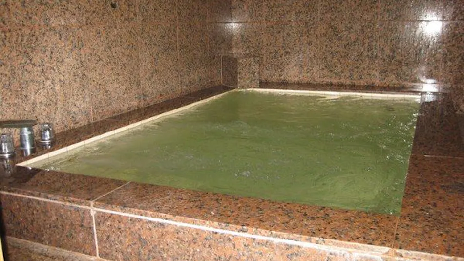 Tokiwa Ryokan