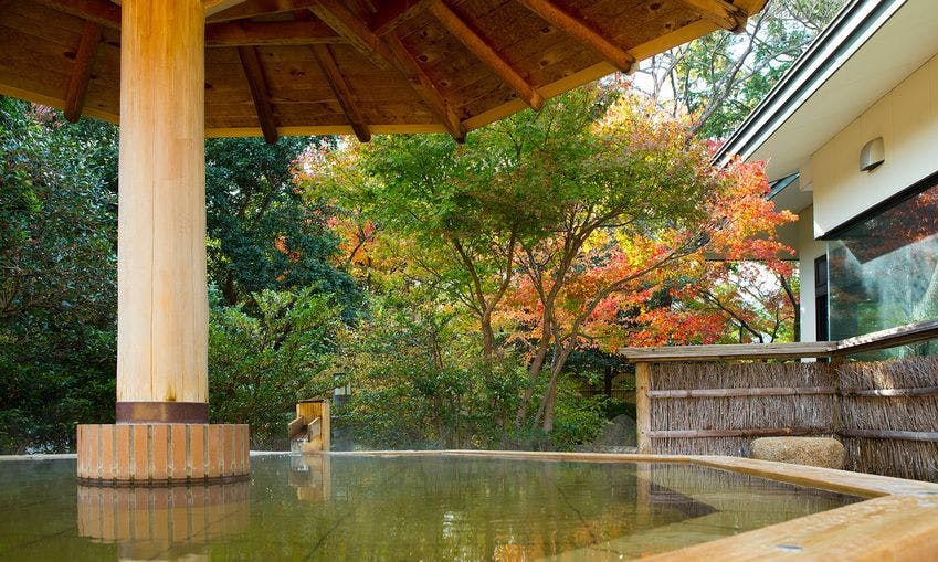 Yunoyama Onsen Green Hotel