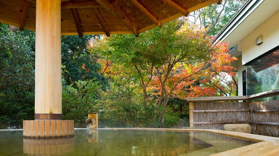 Yunoyama Onsen Green Hotel
